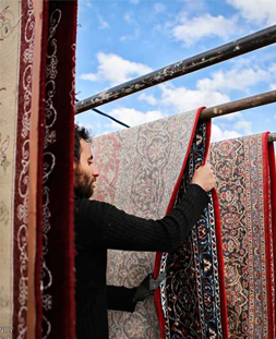 خشک کردن قالی در قالیشویی وزراء